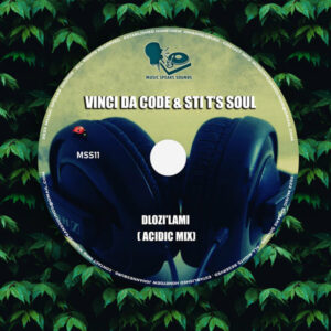 Vinci Da Code & STI T's Soul - Dlozi'lami (Acidic Mix)