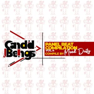 Panel Beat Compilation Vol.4 (Compiled By Mood Dusty)