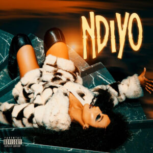 Dj Ndiyo - Ndiyo (feat. Sino Msolo & Tony Duardo)