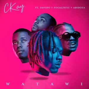 CKay - WATAWI (feat. Focalistic, Davido & Abidoza)