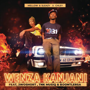 Mellow & Sleazy & Chley - Wenza Kanjani (feat. 2woshort, TNK MusiQ & BoontleRSA)