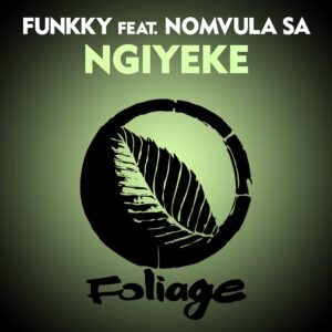 Funkky - Ngiyeke (feat. Nomvula SA)