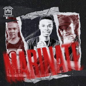 BL Zero, Lebzito, Kamo The Vocalist & Major League Djz - Marinate (feat. Dj Karri)