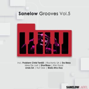 VA - Sanelow Grooves, Vol. 5
