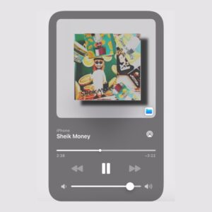 FLUXX, Tapes & 2woBunnies - Sheik Money