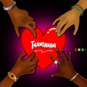 Robot Boii & Nhlonipho - Thandanani (feat. S.O.N, Chukido, PD Jokes & Mac lopez)