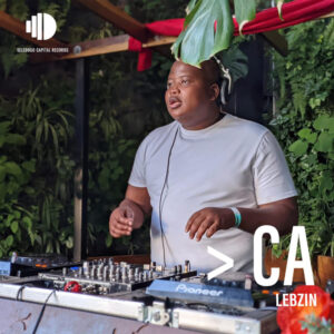 Lebzin - More Than A Chartered Accountant EP