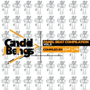 Panel Beat Compilation Vol.5 (Compiled By Mood Dusty)