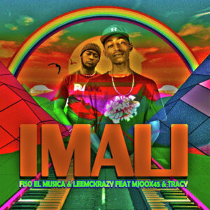 Fiso El Musica & LeeMckrazy - Imali (feat. Mjoox45 & Tracy)