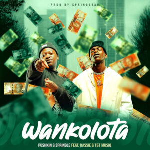 Pushkin RSA & Springle - Wankolota (feat. Bassie & T&T Muziq)
