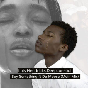 Luis Hendricks & Deepconsoul - Say Something