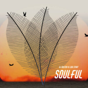 DJ Nastor & Lida Strat - Soulful