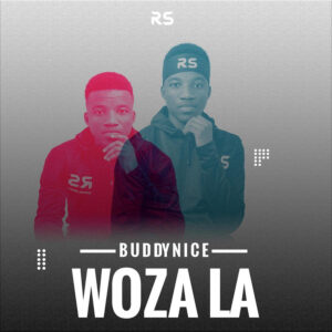 Buddynice - Woza La (Redemial Mix)