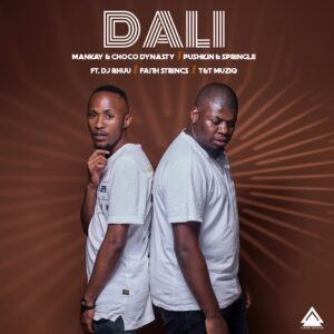 Mankay & Choco Dynasty, Pushkin RSA & Springle - Dali (feat. DJ Rhuu, Faith Strings & T&T Musiq)