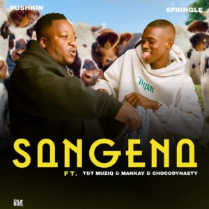 Pushkin RSA & Springle - Sangena (feat. Mankay & Choco Dynasty & T&T Muziq)