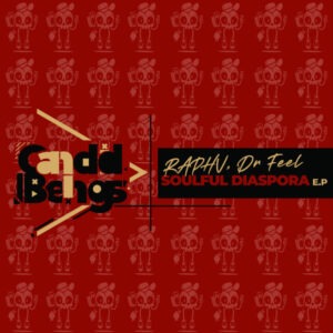 RAPHV and Dr Feel - Soulful Diaspora EP
