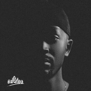 Bandros - BRENDA (Album)