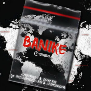 Nandipha808 & Ceeka RSA - Banike (feat. LeeMcKrazy & Philharmonic)