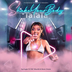 Springle - Shake Your Body (Tatata) (feat. Donn Stone & T&T Muziq)