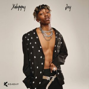 Xduppy - Yebo Baba (feat. Madumane, Mellow & Sleazy, Uncool MC & Ricky Lenyora)