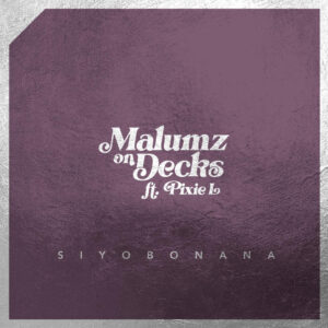 Malumz on Decks - Siyobonana (feat. Pixie L)