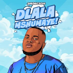 Shazmicsoul - Dlala Mshumaye (feat. CowBoii)