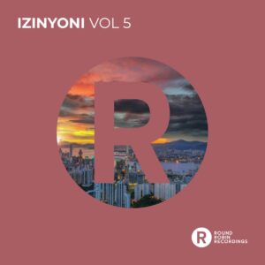 VA - Izinyoni, Vol. 5