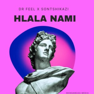 Dr Feel & Sontshikazi - Hlala Nami