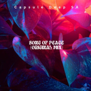 Capsule Deep SA - Song Of Peace (Original Mix)