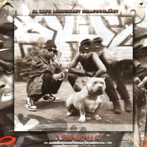 Al Xapo & Leemckrazy - Nginenja (feat. Sneenah, Mellow & Sleazy, Boontle RSA & LK Deepstix)
