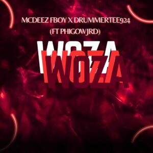 Mcdeez Fboy & DrummeRTee924 - WOZA WOZA (feat. Phigow Jrd)