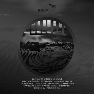 VA - Sanelow Grooves, Vol. 6