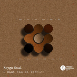 Kaygo Soul - I Want You So Bad