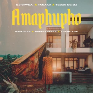 Dj Spyda, Tanaka & Tebza De DJ - Amaphupho (feat. 031Wolfs, Breezybeats & Luvintage)