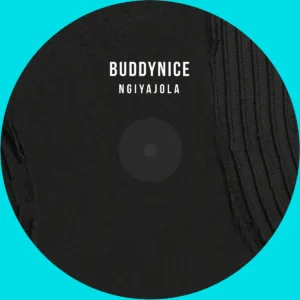 Buddynice - Ngiyajola