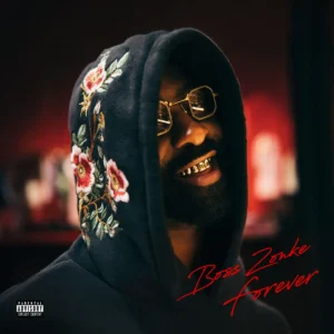 Riky Rick, Tyler ICU & Young Stunna - Ilanga (feat. Kelvin Momo, Baby S.O.N., Zadok & Mas Musiq)
