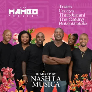 The Mambo Project - Nash La Musica Remix EP