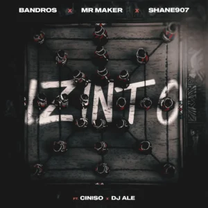 Bandros, Shane907 & Mr Maker - Izinto (feat. Ciniso & DJ ALE)