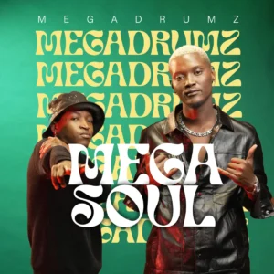 Megadrumz - Mega Soul (Album)