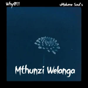 Why01.1 & uMalume Soul's - Mthunzi Welanga