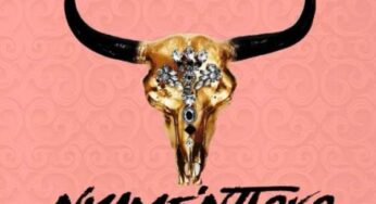 Mthimbane – Nyamentloko (ft. Bham Ntabeni, Mr Luu & MSK) 2017