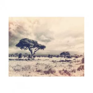 Ped One - Amaqhawe