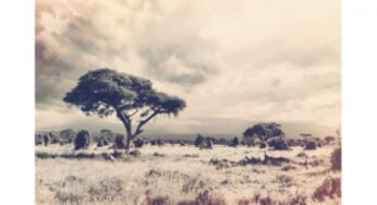 Ped One – Amaqhawe EP