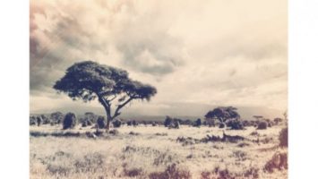 Ped One - Amaqhawe