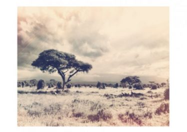 Ped One - Amaqhawe