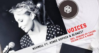 Fistaz Mixwell feat. Aimée Sophia – Voices (Blomzit Remix)