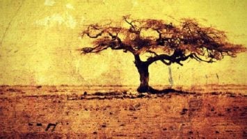 VA - We Are Africa / Native Okan Records