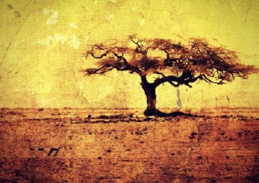 VA - We Are Africa / Native Okan Records