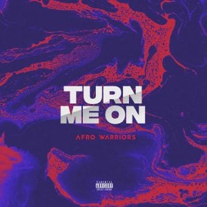 Afro Warriors - Turn Me On