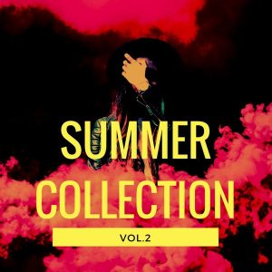 VA Summer Collection, Vol. 2 [OneBigFamily Records]